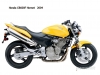 Honda CB600S Hornet S 599 2002 - Present