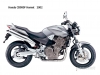 Honda CB900F Hornet 919 2002 - Present