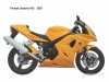 Triumph Daytona 600 2003 - 2004