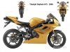 Triumph Daytona 675 2006