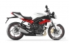 Triumph Street Triple 2013 - Present